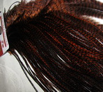����� 1/2  Whiting Dry Fly bronze saddle grizzly coachman brown